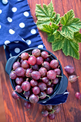 gooseberry