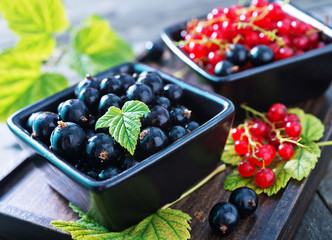 fresh currant