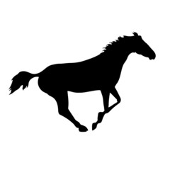 silhouette of a horse