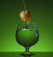 Obraz premium тюльпан и вода