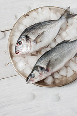 Dorado fish and sea bass on the metal plate with ice
