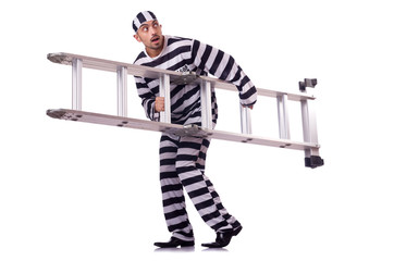 Prison inmate isolated on the white