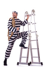 Prison inmate isolated on the white