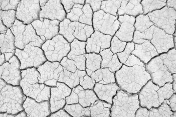 Dry land. Cracked ground background.