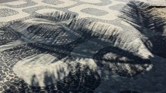 Ipanema Sidewalk Rio Palm Tree Shadows