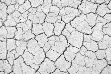 Dry land. Cracked ground background.