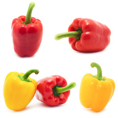 bell peppers 