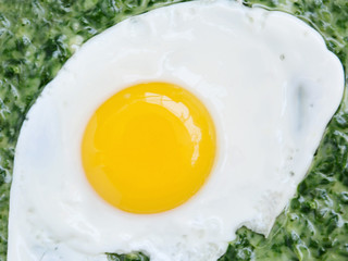 Fried egg with creamed spinach closeup