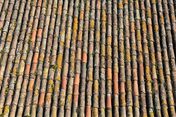 typical portuguese tile roof background