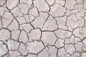 Dry land. Cracked ground background.