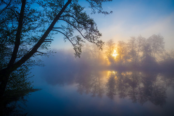 Fototapeta na wymiar Morning fog on a forest river