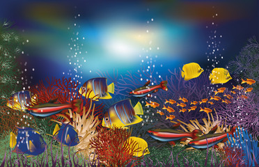 Underwater background with tropical fish, vector illustration