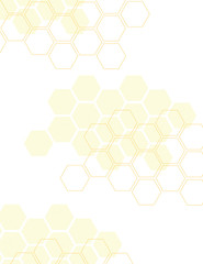 Honey comb background