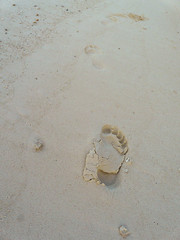 Foot traces on sand