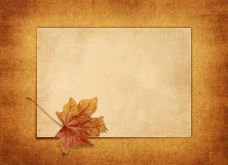 horizontal old blank card with a maple leaf