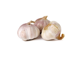 whole garlic bulb on white background