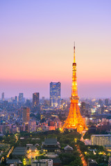 Naklejka premium Widok z lotu ptaka miasta Tokio i wieży Tokyo