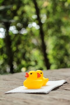 Lovely of yellow rubber duck