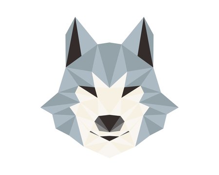 wolf financial accounting logo