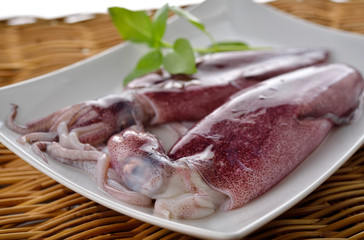 fresh whole round squid on plate with rattan background