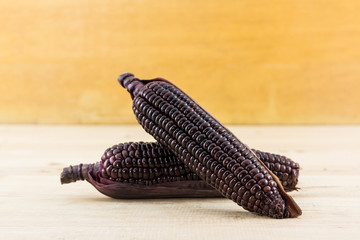 Fresh purple organic corn, Maize.