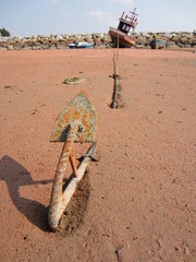 отлив
