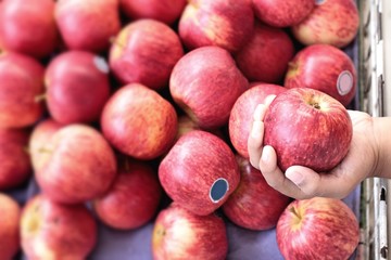 apples red