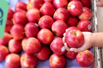 apples red