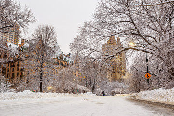 Central Park after the Snow Strom Linus