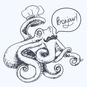 cook octopus sketch