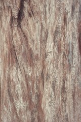 Old wood blackground texture - vintage