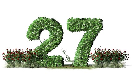 
Number 27, alphabet of green ivy leaves - isolated