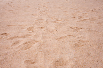 Sand beach