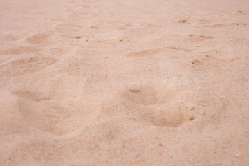 Sand beach
