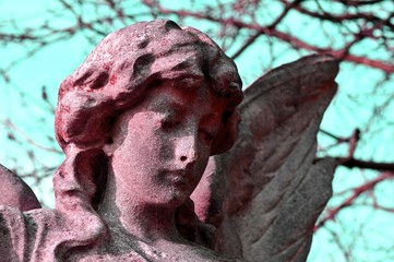 Close up of stone angel in the cemetery