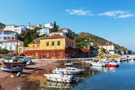 Hydra