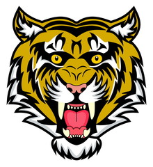 very enraged bengal tiger
