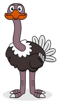 an ostrich looking ahead
