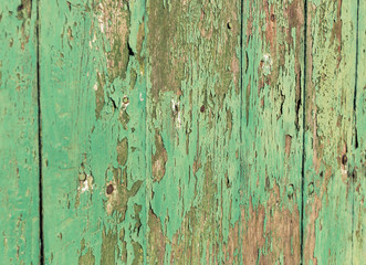 Closeup texture green wood wall