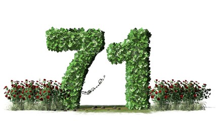 


Number 71, alphabet of green ivy leaves - isolated