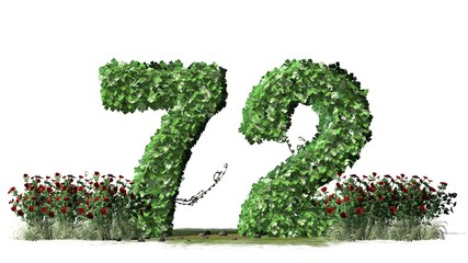 


Number 72, alphabet of green ivy leaves - isolated