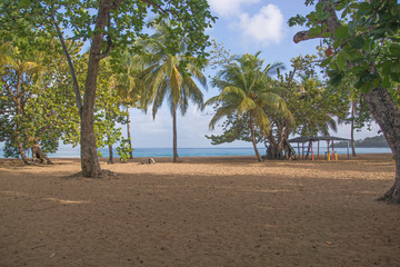 Plage de la Grande Anse in Deshaies, Guadeloupe