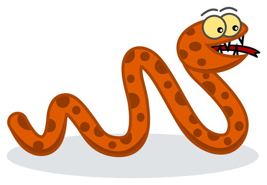 orange snake profile
