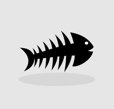 skeleton of fish on a grey background