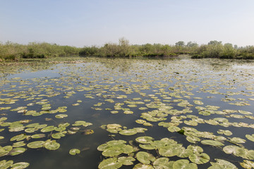 Mantua, Italy, Mincio river