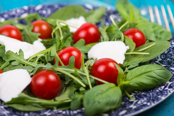 Fresh italian salad with tomatoes and mozzarella on plate