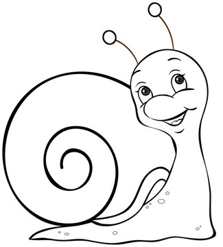 Schnecke Ausmalbild