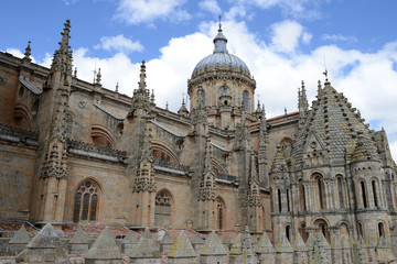 Naklejka premium Cathédrale de Salamanque