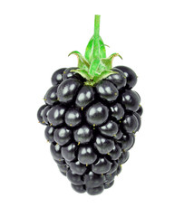 blackberry
