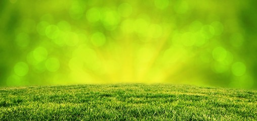 Green grass